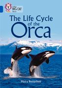 Collins Big Cat - The Life Cycle of the Orca: Band 16/Sapphire (en Inglés)