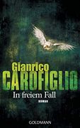 In Freiem Fall: Roman (in German)