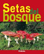Setas del Bosque