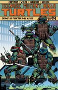 TEENAGE MUTANT NINJA TURTLES ORDEN A PARTIR DEL CAOS TOMO 14B