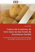 culture de la pomme de terre dans les bas-fonds de karankasso sambla
