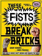 These Fists Break Bricks how Kung fu Movies Swept America: How Kung fu Movies Swept America and Changed the World (en Inglés)