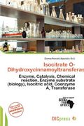 isocitrate o-dihydroxycinnamoyltransferase (en Inglés)