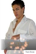 The Stardust Diaries 2007 (en Inglés)