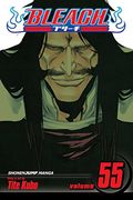 Bleach, Vol. 55 (en Inglés)