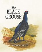 the black grouse