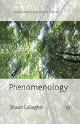 Phenomenology (Palgrave Philosophy Today) (en Inglés)