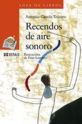 Recendos de aire sonoro (Infantil E Xuvenil - Sopa De Libros - De 8 Anos En Diante) (en Gallego)
