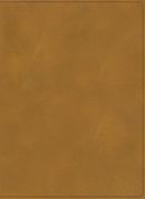 Rvr 1960 Biblia Ilustrada de la Tierra Santa, Café Símil Piel con Índice (in Spanish)