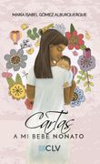 Cartas a mi Bebe Nonato