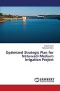 Optimized Strategic Plan for Natuwadi Medium Irrigation Project