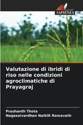Valutazione di ibridi di riso nelle condizioni agroclimatiche di Prayagraj (en Italiano)