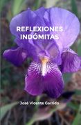 Reflexiones Indómitas