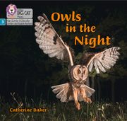 Big Cat Phonics for Little Wandle Letters and Sounds Revised - Owls in the Night: Phase 3