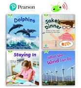 Learn to Read at Home With bug Club Phonics: Phase 5 - Year 1, Terms 1 and 2 (4 Non-Fiction Books) Pack b (en Inglés)