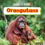 Orangutans (en Inglés)