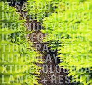 The Landscape Architecture of Paul Sangha (en Inglés)