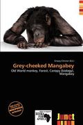 grey-cheeked mangabey (en Inglés)