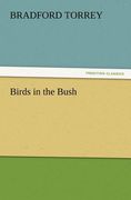 birds in the bush