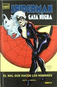 Spiderman y la Gata Negra