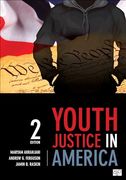 Youth Justice in America 