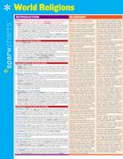 World Religions Sparkcharts (Volume 77) (en Inglés)