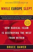 While Europe Slept (en Inglés)