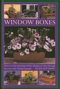 wndow boxes: how to create stunning window displays to enjoy throughout the year, with 130 photographs