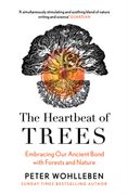 The Heartbeat of Trees (en Inglés)