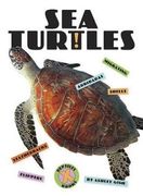 Sea Turtles (Xtreme Reptiles)