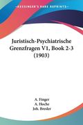 Juristisch-Psychiatrische Grenzfragen V1, Book 2-3 (1903) (en Alemán)