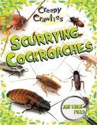 Scurrying Cockroaches (Creepy Crawlies) 