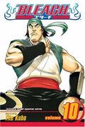 Bleach Volume 10: V. 10: