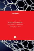 Carbon Nanotubes: From Research to Applications (en Inglés)