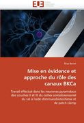 Mise En Evidence Et Approche Du Role Des Canaux Bkca
