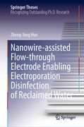 Nanowire-Assisted Flow-Through Electrode Enabling Electroporation Disinfection of Reclaimed Water