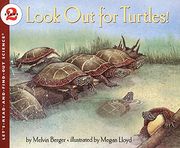 look out for turtles