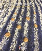 Mi Lugar de Nacimiento