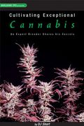 cultivating exceptional cannabis,an expert breeder shares his secrets