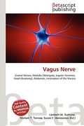 vagus nerve