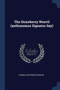 The Strawberry Weevil (anthonomus Signatus Say) (en Inglés)