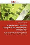 adh sion des bact ries lactiques dans des matrices alimentaires