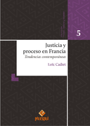 Justicia y proceso en Francia. Tendencias contemporáneas