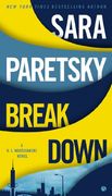 Breakdown (V. I. Warshawski) (en Inglés)