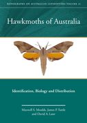 Hawkmoths of Australia: Identification, Biology and Distribution (en Inglés)