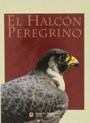 Halcon peregrino, el