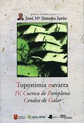 Obras Completas de José María Jimeno Jurío: Toponimia Navarra. IV. Cuenca de Pamplona. Cendea de Galar: 43 (Obras Completas J. Mª Jimeno Jurío)