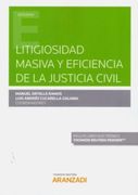Litigiosidad Masiva y Eficiencia de la Justicia Civil. Formato dúo