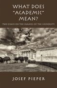 What Does Academic Mean?: Two Essays on the Chances of the University Today (en Inglés)