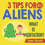 What is Meditation?: 3 Tips For Aliens (en Inglés)